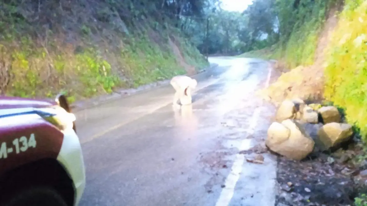 Deslaves y caída de árboles los efectos del temporal en la Sierra Norte de Puebla